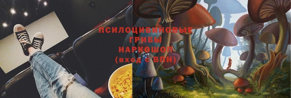 прущий лед Алексин