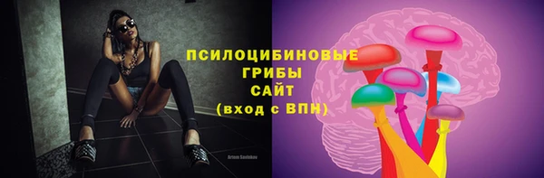 круглые Алзамай