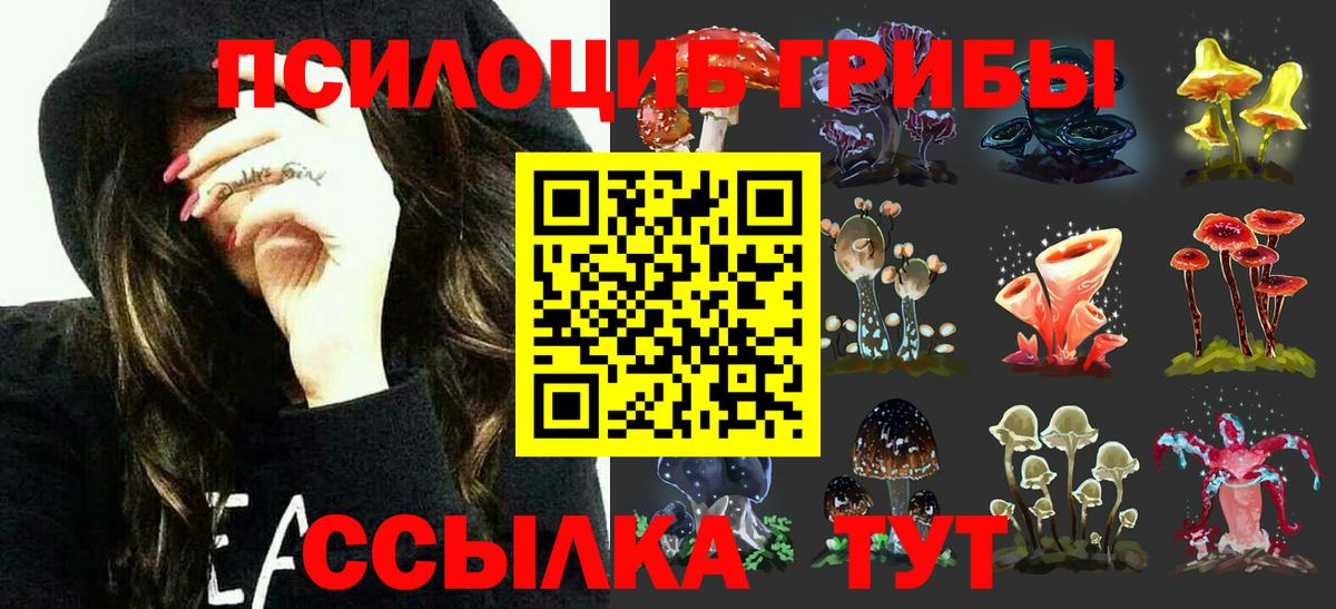 Сорочинск  Галлюциногенные грибы Psilocybine cubensis  Вход с VPN 
