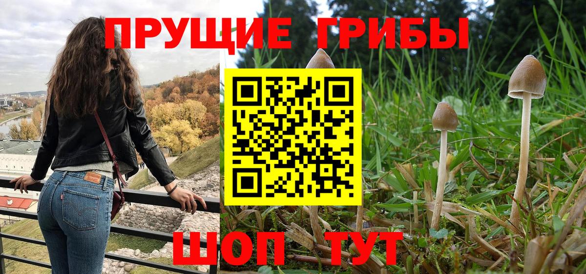 Галлюциногенные грибы MAGIC MUSHROOMS Сорочинск